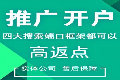 行业内的SEM竞价代运营公司优秀案例剖析